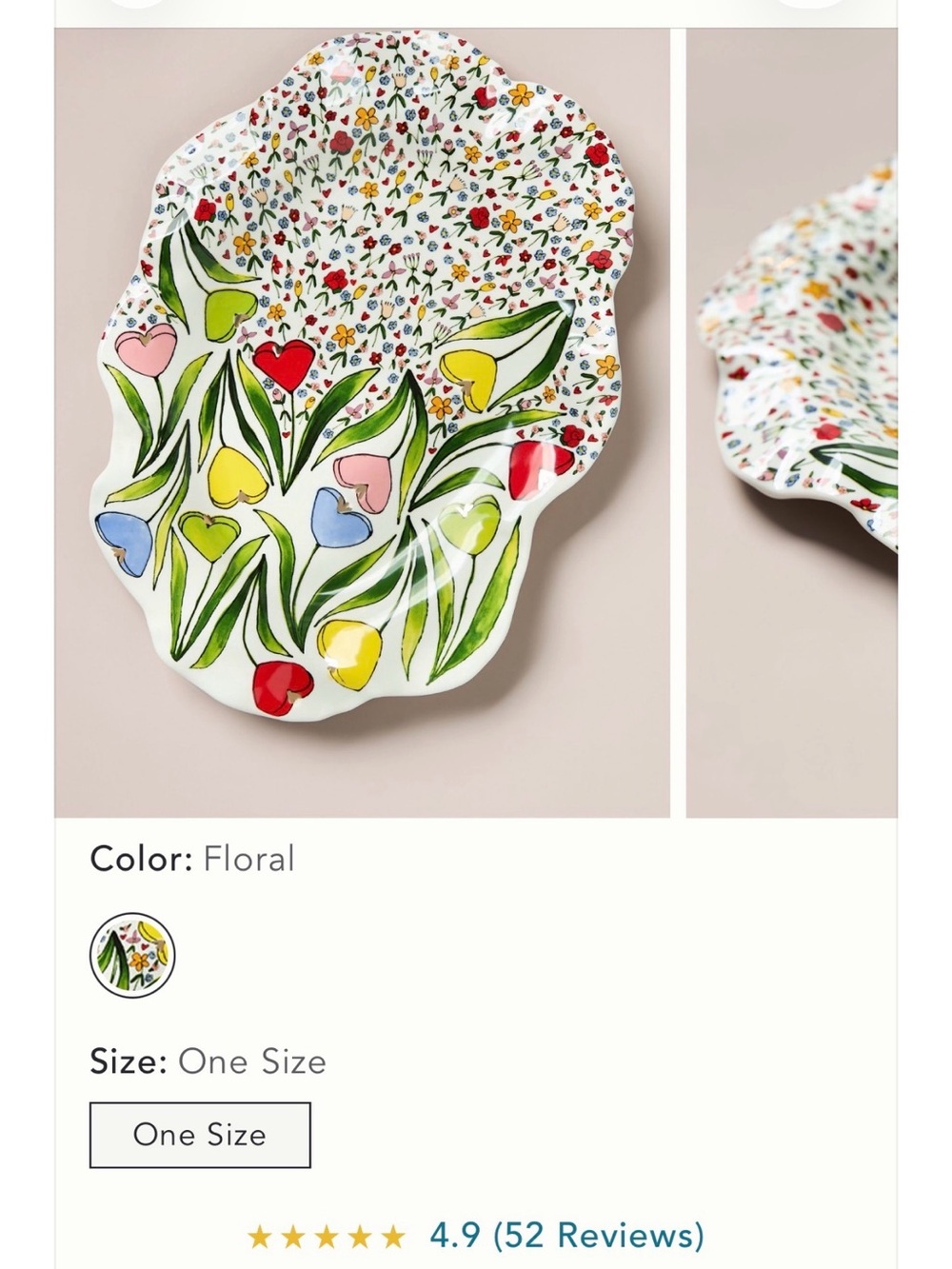 Anthropologie Mud Fairy Hand-Painted Floral Stoneware Platter - Multicolor